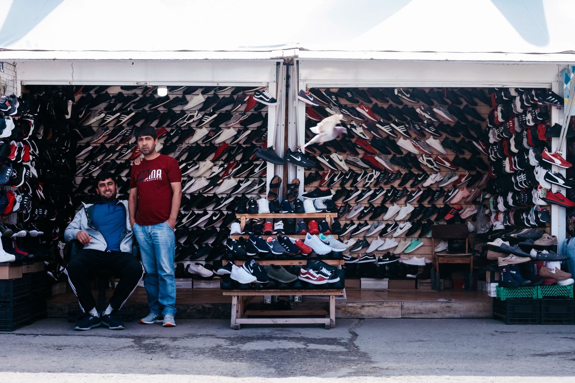 Bash – Which shop sells Steve Madden sneakers in South Africa - where to buy now