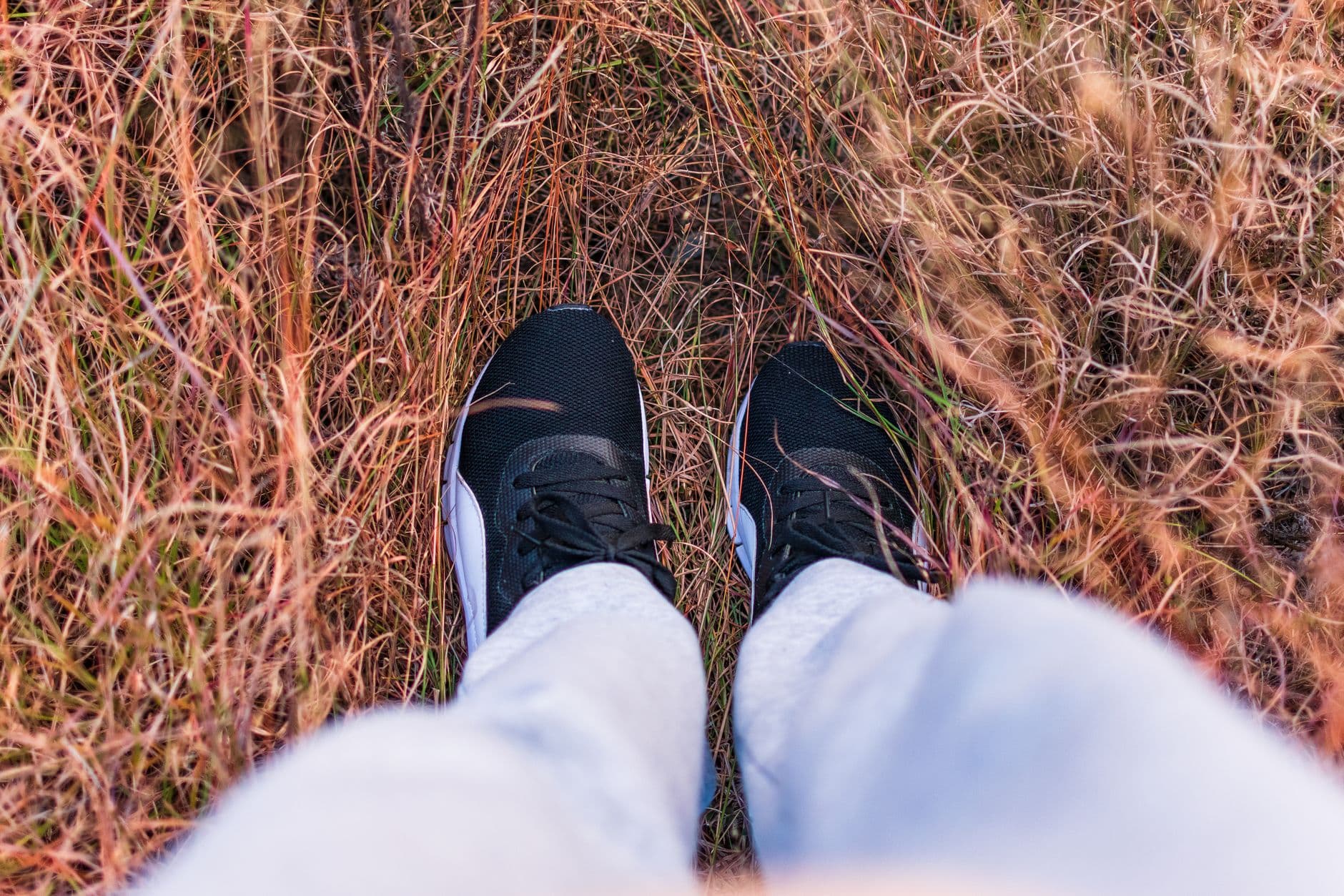 Bash – Sneakers for long walking days - what to choose and why