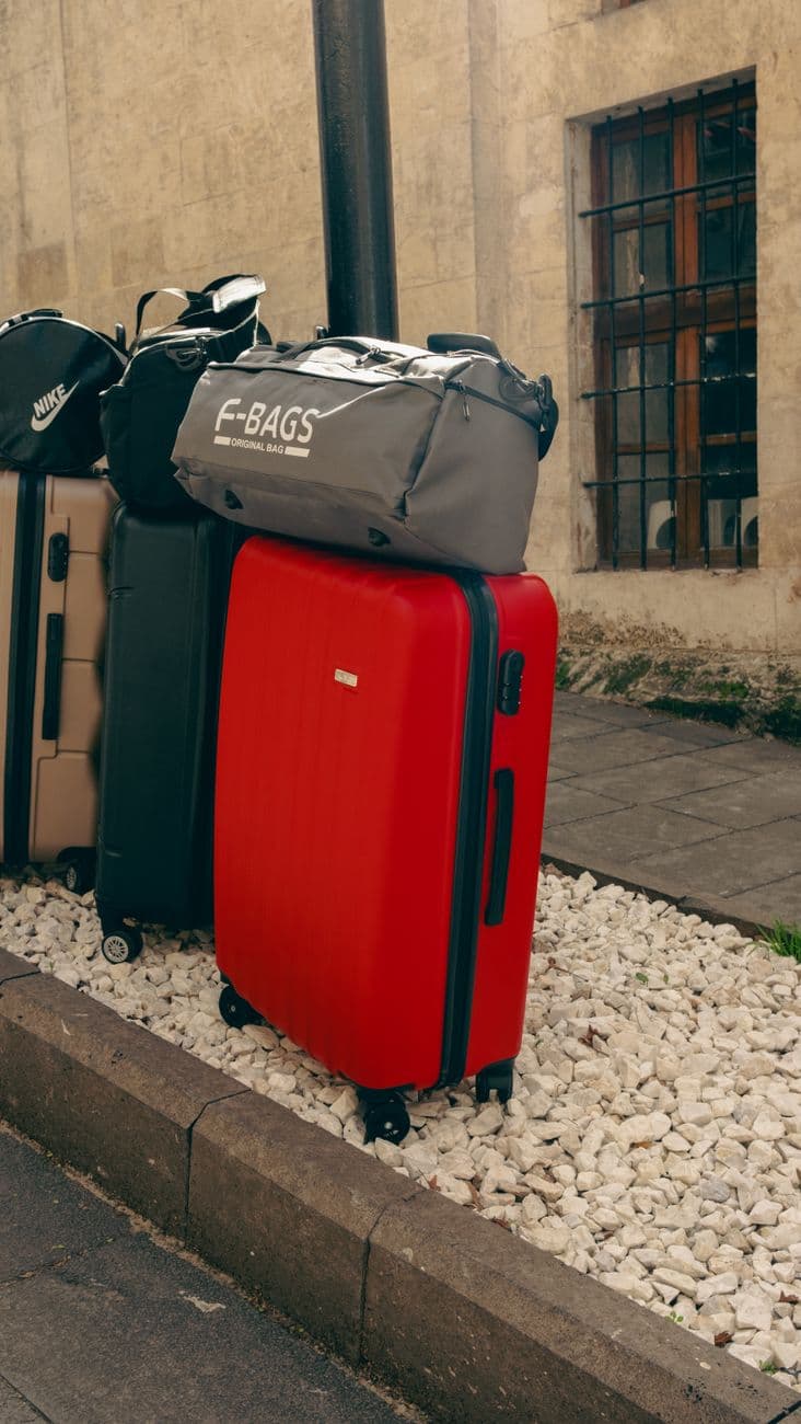 Bash – Buy Fabian travel sneakers online - comfortable, compact sneakers for everyday travel