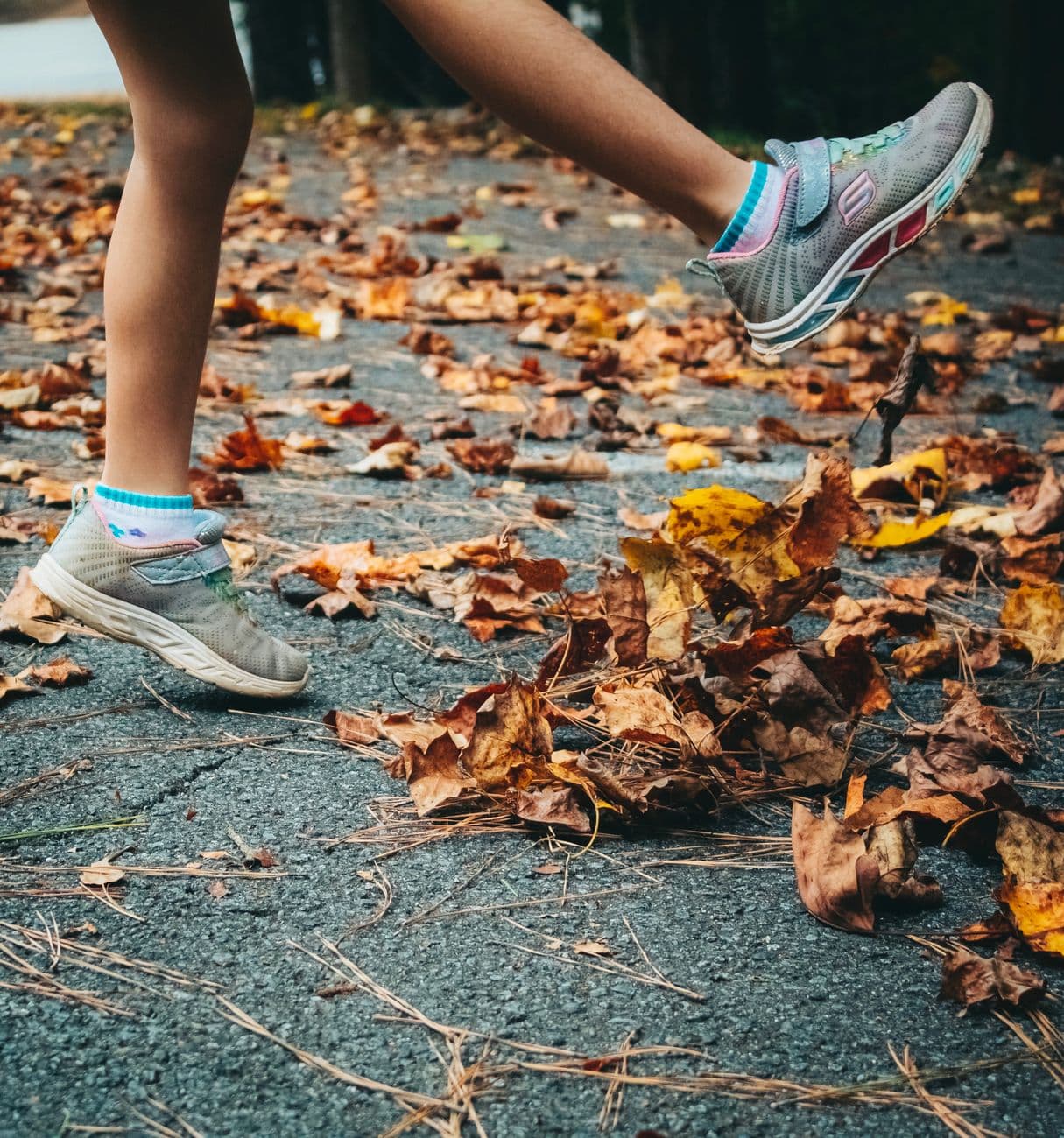 Bash – Skechers sneakers for women: comfort-led styles we recommend