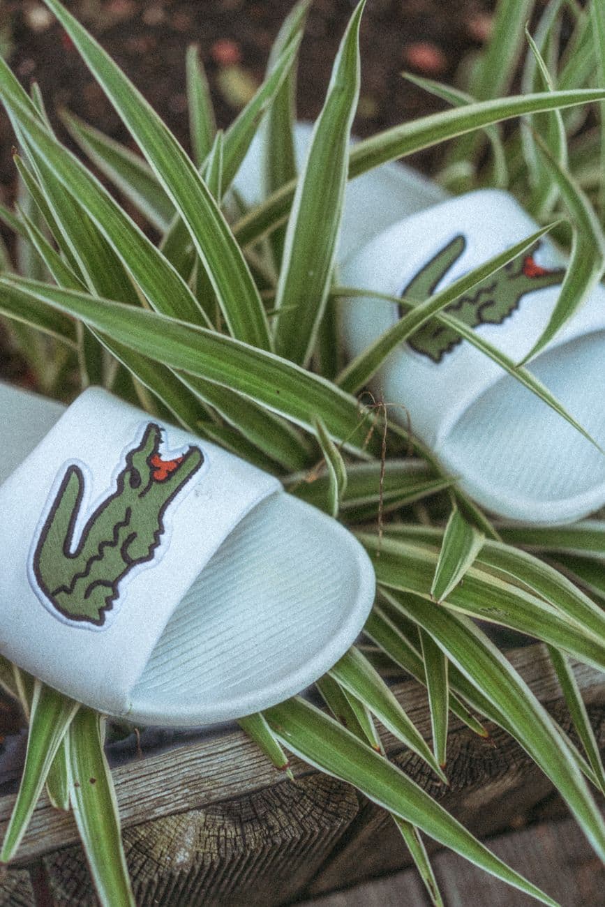 Bash – Bash Lacoste sneakers: stylish everyday shoes for South African streets