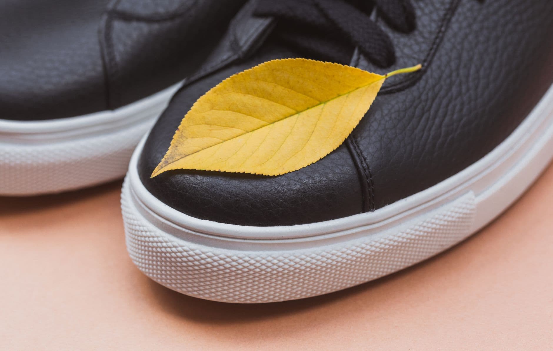 Bash – Campus sneakers: practical style and fit for university life