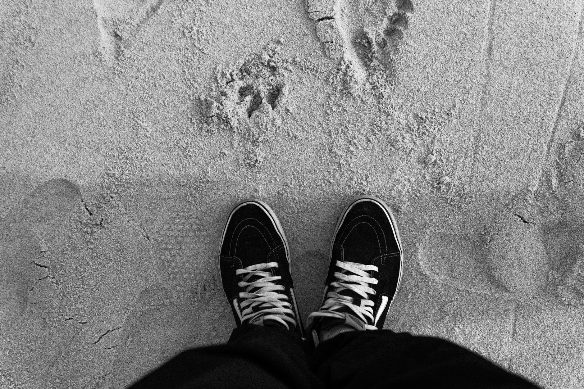 Bash – Sportscene sneakers South Africa travel - Travel-ready sneaker styles from Sportscene
