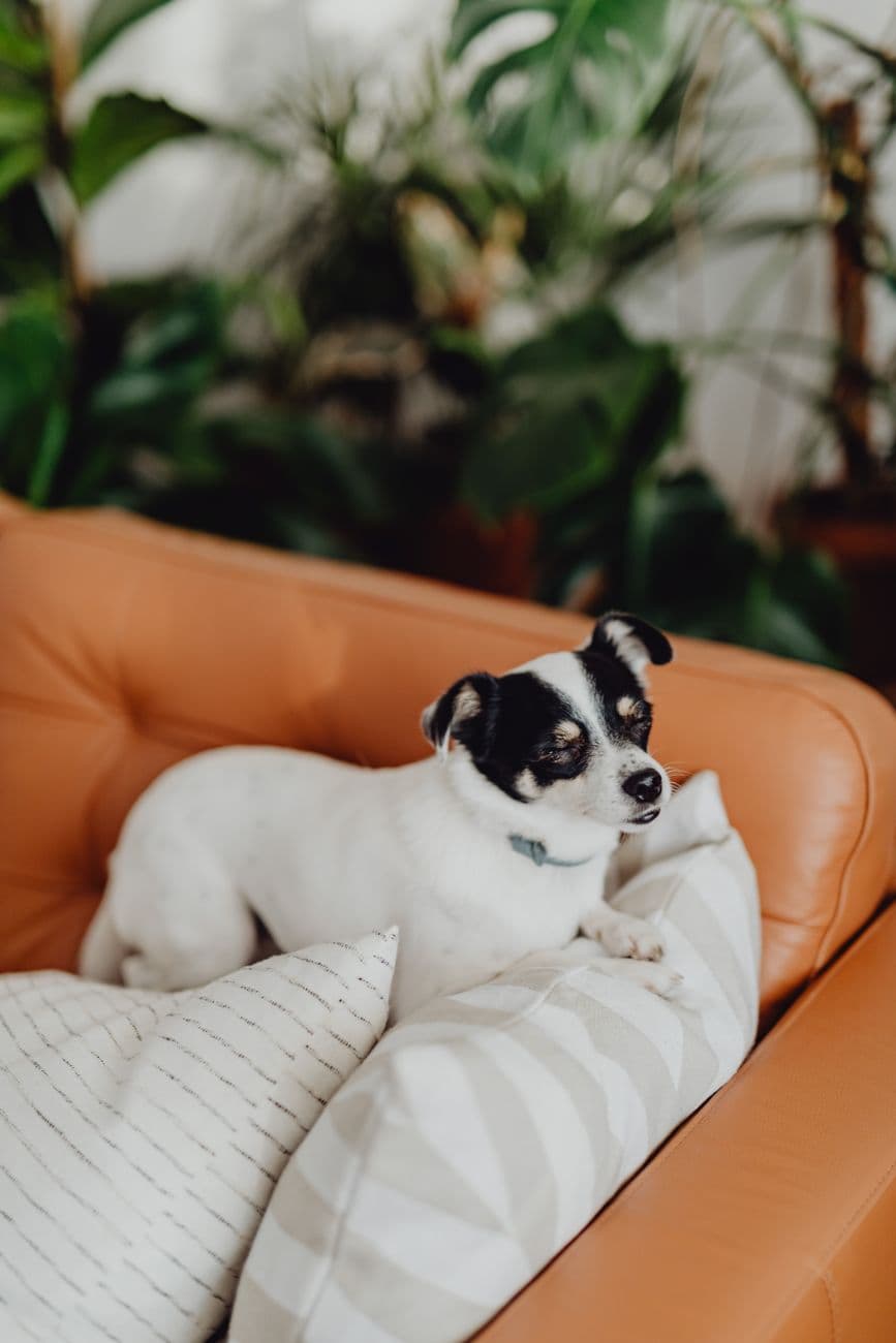 Bash – Choosing the right sofa size for a small living room