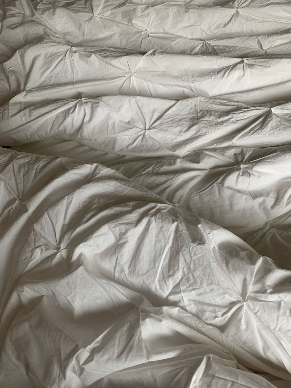 Bash – How to verify organic cotton bedding certifications and labels