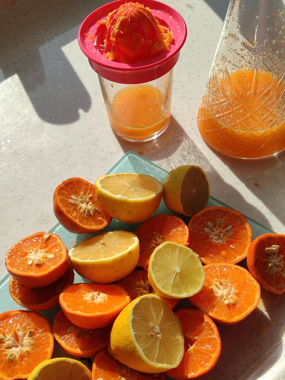 Bash – Slow juicer South Africa - choose the right cold-press juicer for your kitchen