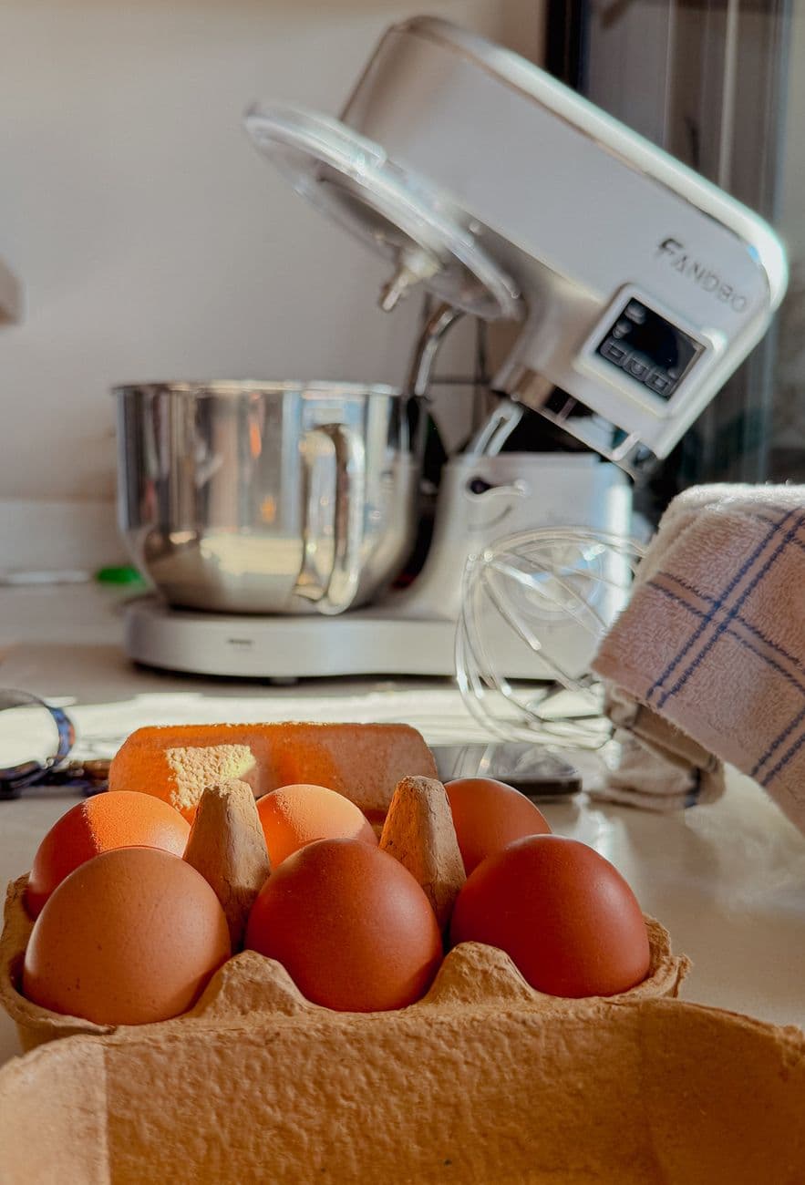 Bash – Stand mixer for baking: how to choose the right one for your kitchen