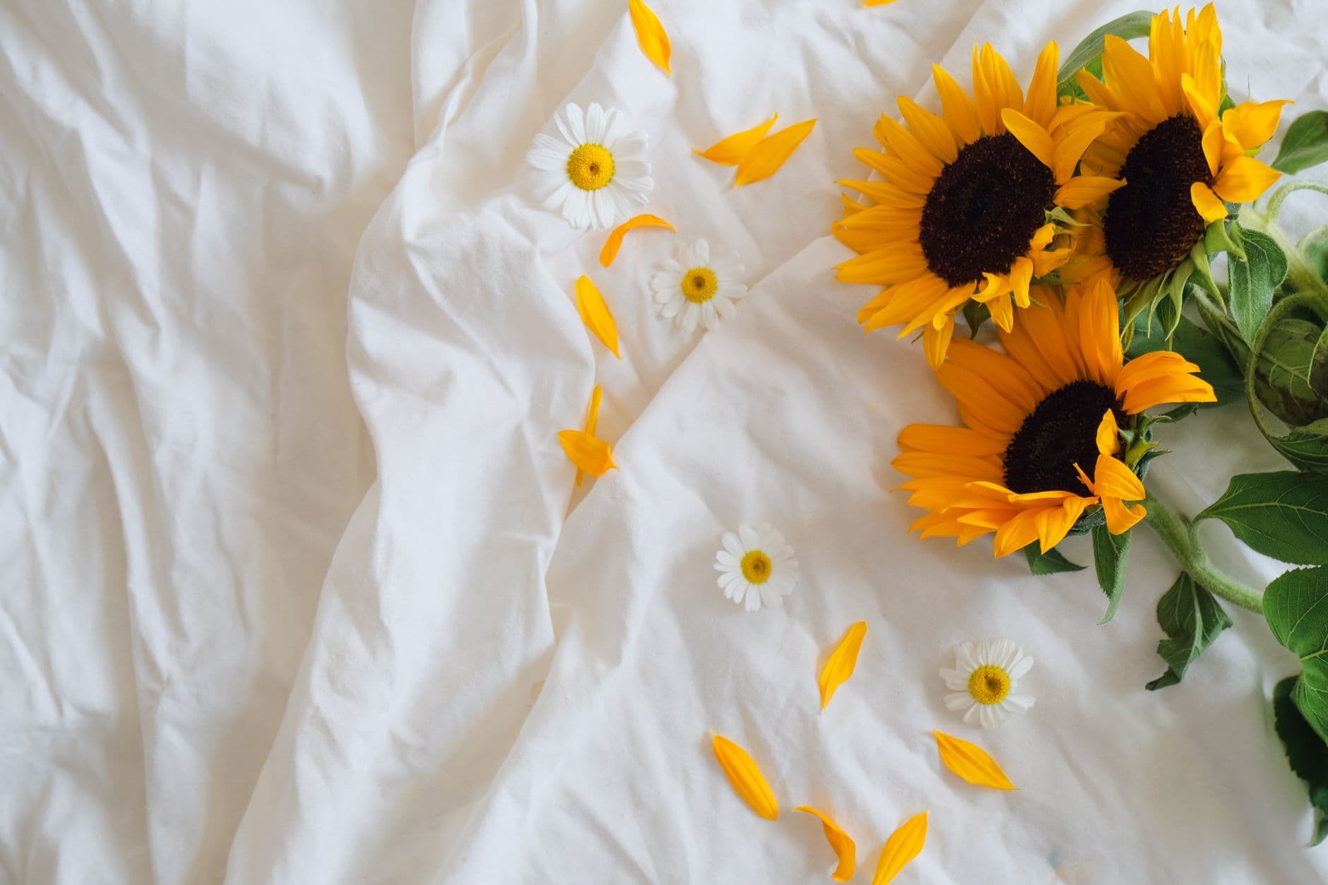 summer bedding product photo