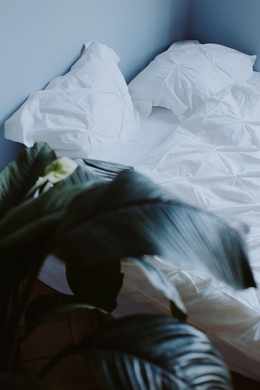 Bash – Egyptian cotton bedding: how to choose, care for, and shop wisely