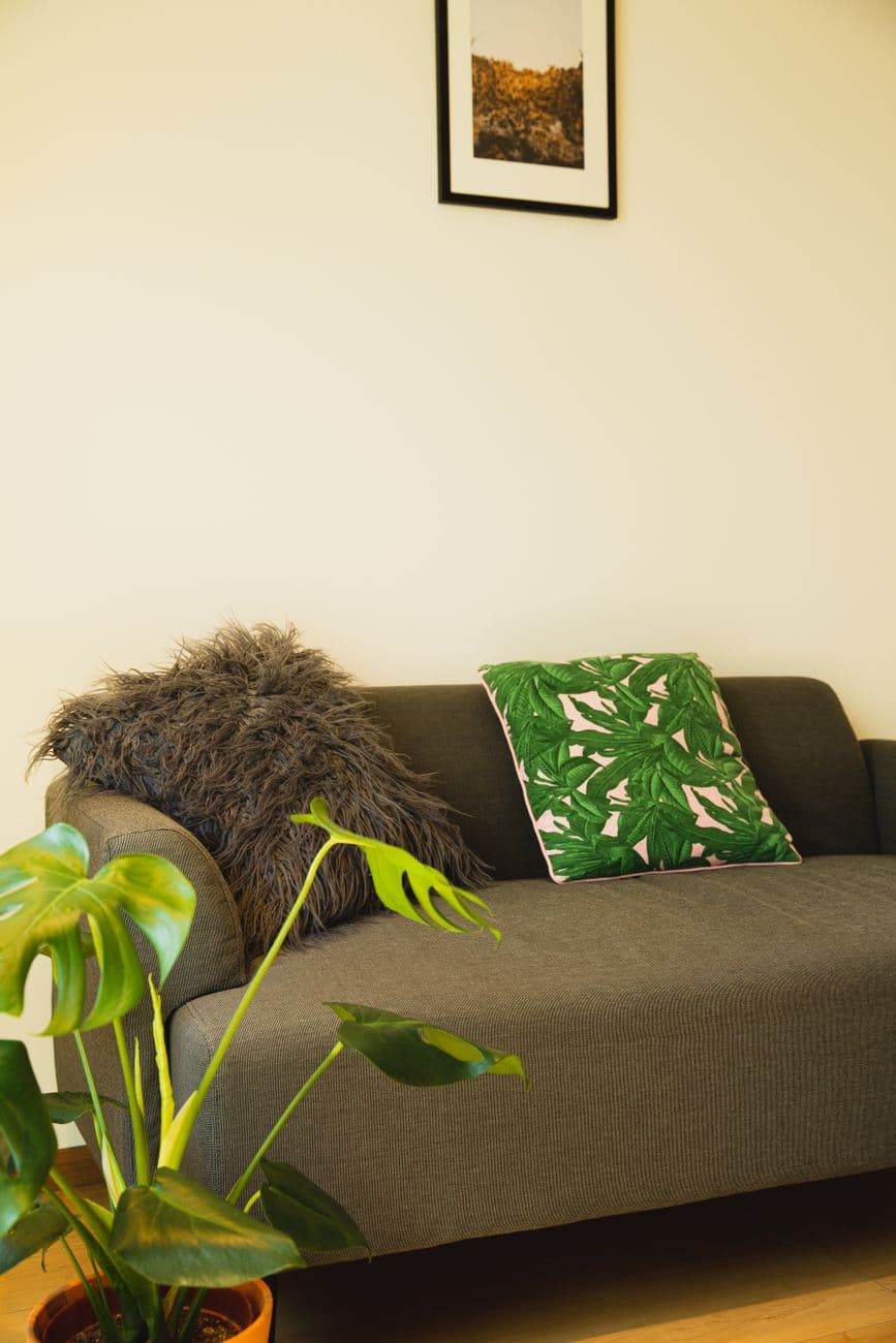 Bash – 2 seater couch: Optimising small living rooms for layout and comfort
