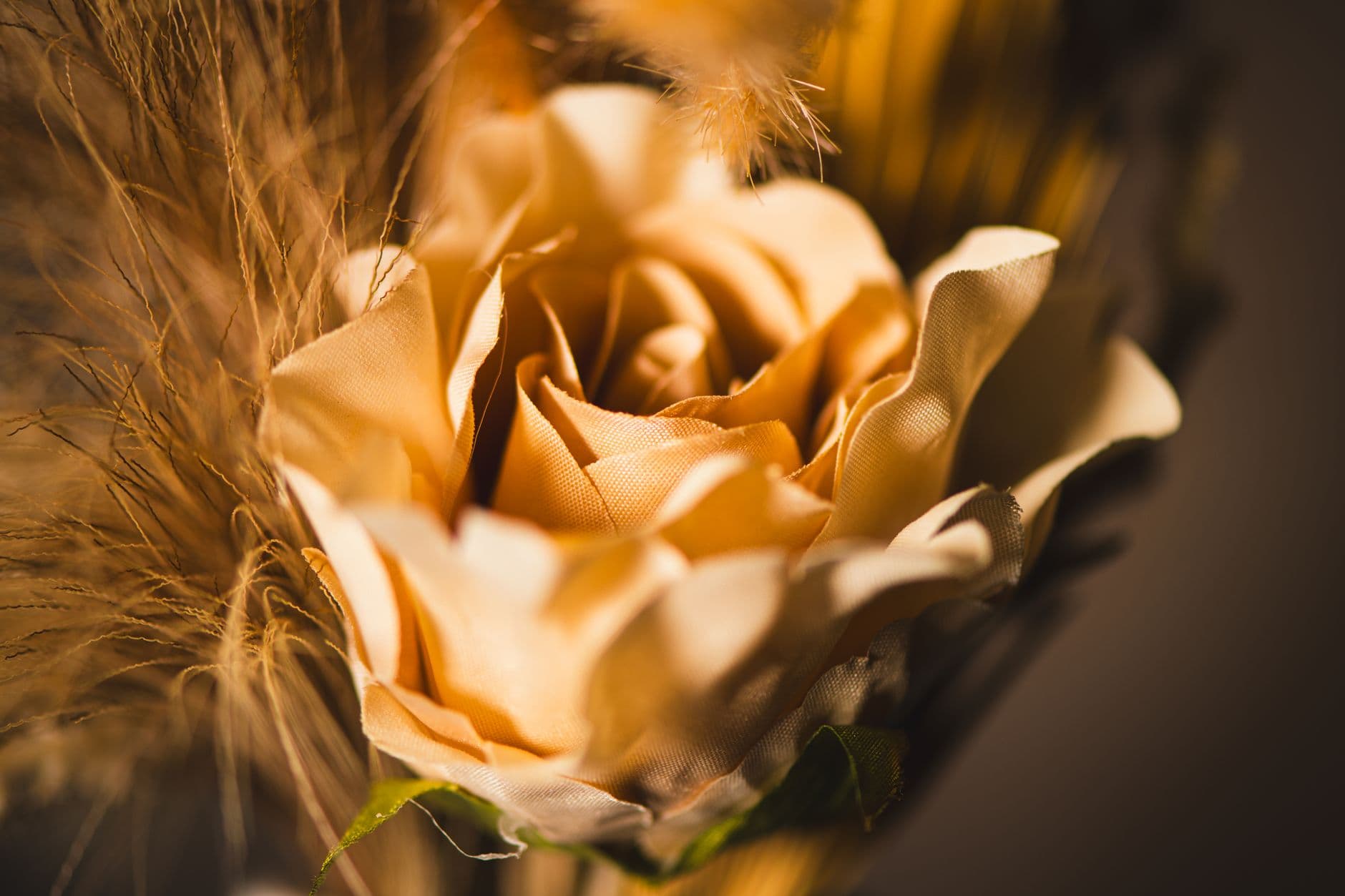 Bash – Artificial flowers: choosing and caring for lifelike blooms in South African homes