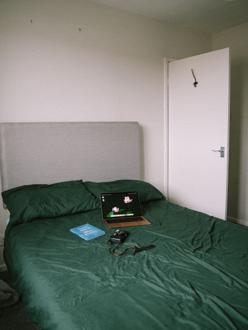 Bash – Green bedding: sustainable sheets, materials and certifications