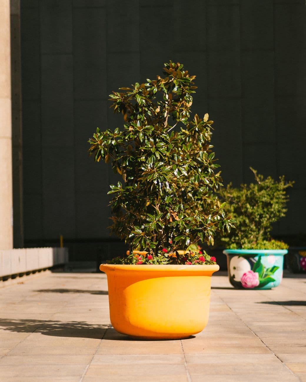 Bash – Outdoor planters: choosing weatherproof materials for South African climate zones